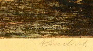 Paulovits Pál (1892-1975): Venezia. Színezett rézkarc, papír, jelzett, üvegezett keretben, 34×29 cm