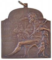 Ifj. Vastagh György (1868-1946) 1909. XVI. Nemzetközi Orvos Kongresszus - Budapest bronz plakett szalag nélkül (40x40mm) T:2,2- hátoldalán kopás