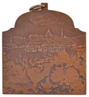 Ifj. Vastagh György (1868-1946) 1909. "XVI. Nemzetközi Orvos Kongresszus - Budapest" bronz...