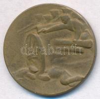 Osztrák-Magyar Monarchia 1915. "A Krasniki diadalmas csatában az oroszoktól elvett ágyúból vere...