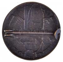 Homonnay Jenő (1883-?) DN "Egyesült Keresztény Nemzeti Liga" Cu jelvény vízszintes tűvel (...