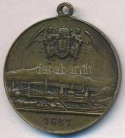 1896. "Magyarország ezeréves fennállása és Ős Budavára emlékére - 1896 / 1687" fém emlékér...