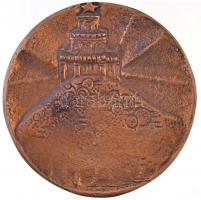 ~1970. A Hegyvidékért - XII. ker. tanács" Br emlékplakett (85mm) T:2