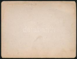 cca 1900 Magas-Tátra, Csorba-tó, keményhátú fotó, hátulján feliratozva, 9×12 cm