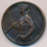 Berán Lajos (1882-1943) ~1940-1950. "Ferencz Városi Torna Club" Br díjérem (40mm) T:2,2- r...
