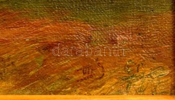 Olvashatatlan jelzéssel: Tanya. Olaj, vászon, fa keretben, sérült vászonnal, 21x31 cm