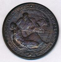Berán Lajos (1882-1943) DN "Budapesti Önkéntes Mentő Egyesület Hálája Jeléül" Br lemezérem...