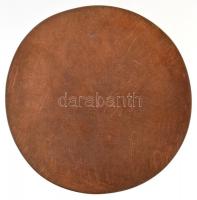 Lisztes István (1942-) 1976. "Apokalipszis" Br emlékplakett (90mm) T:1-,2