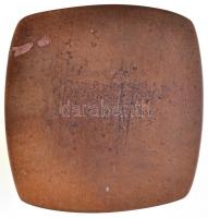 Lisztes István (1942-) 1975. "Tópart?" Br emlékplakett (71x73mm) T:2