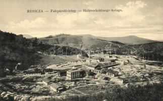 Resica, Resita; Falepároló-telep / Holzverkohlungs-Anlage / dewatering plant of the saw mill
