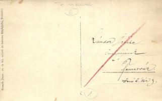 Temesvár, Timisoara; nagy társaság a vendéglő kertjében / great party in the restaurant's garde...