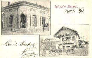 Zilah, Zalau; Terge József üzlete, szőlőhegy villával / shop, vineyard (EK)