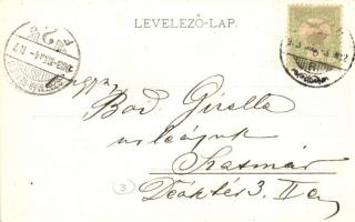 Zilah, Zalau; Terge József üzlete, szőlőhegy villával / shop, vineyard (EK)