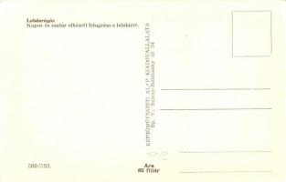 Rapid-Bp. Honvéd Labdarúgó mérkőzés Alfred Körner góllövés közben. Kapus és csatár elkésett felugrás...