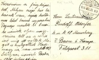 1915 Rácalmás, Háj kastély, belső kert. photo