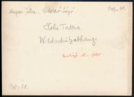 cca 1910 Magas-Tátra, a Vadorzó-hágó, Erdélyi Mór felvétele, hátulján feliratozva, 11,5×16 cm /

c...