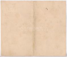 Bodókő-Váralja 1894. "Bodókő-Váralja, Bodókő-Újfalu és Arka községek szőlőépítő egyesülete&quot...