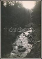 cca 1910 A Dobsinai-patak völgye, Erdélyi Mór felvétele, hátulján feliratozva, 11,5×16 cm /  cca 1910 The valley of the Dobšinský potok, with notes on its back, 11,5×16 cm