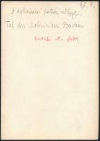 cca 1910 A Dobsinai-patak völgye, Erdélyi Mór felvétele, hátulján feliratozva, 11,5×16 cm /

cca 1...