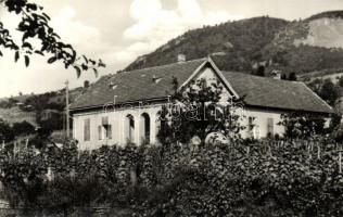 Badacsonytomaj - 8 db modern városképes lap: szőlőskertek, üdülők, villák