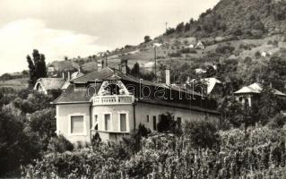 Badacsonytomaj - 8 db modern városképes lap: szőlőskertek, üdülők, villák