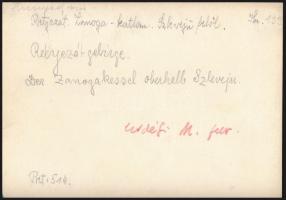 cca 1910 Retyezát, a Zanoga-katlan a Szleveju felől, Erdélyi Mór felvétele, hátulján feliratozva, pe...