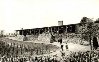 Badacsony - 8 db modern városképes lap: Vasútállomás, Rodostó turistaház, SZOT étterem, Hableány étt...