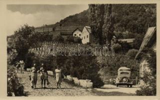 Badacsony - 8 db modern városképes lap: Vasútállomás, Rodostó turistaház, SZOT étterem, Hableány étt...