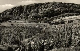 Badacsony - 8 db modern városképes lap: Vasútállomás, Rodostó turistaház, SZOT étterem, Hableány étt...