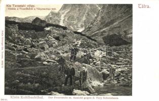 Tátra, Kis Tarpataki völgy, Kilátás a Tüzelőkőről a Téri menház felé. Feitzinger Ede No. 340. / valley with hikers