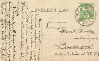 1908 Korcsolyázó katonák a Ludovika Akadémia befagyott taván / K.u.K. soldiers ice skating on a froz...