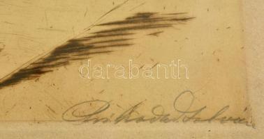 Prihoda István (1891-1956): Merengő kislány. Rézkarc, papír, jelzett, üvegezett fa keretben, 29×18 c...