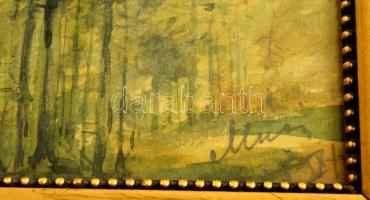 Olvashatatlan jelzéssel: Erdőrészlet. Akvarell, papír, üvegezett keretben, 16×11 cm