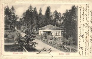 6 db RÉGI erdélyi és felvidéki városképes lap / 6 pre-1945 Slovakian and Transylvanian town-view postcards