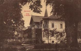 6 db RÉGI erdélyi és felvidéki városképes lap / 6 pre-1945 Slovakian and Transylvanian town-view pos...