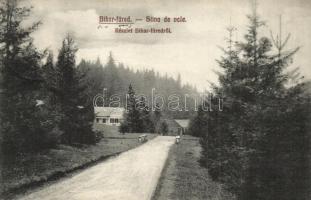 6 db RÉGI erdélyi és felvidéki városképes lap / 6 pre-1945 Slovakian and Transylvanian town-view pos...