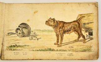 cca 1820 Trentsensky Matthias (1790-1868) - Trentsensky Joseph (1794-1839): Állatok bemutatása négy ...