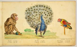 cca 1820 Trentsensky Matthias (1790-1868) - Trentsensky Joseph (1794-1839): Állatok bemutatása négy ...