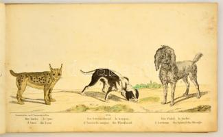 cca 1820 Trentsensky Matthias (1790-1868) - Trentsensky Joseph (1794-1839): Állatok bemutatása négy ...