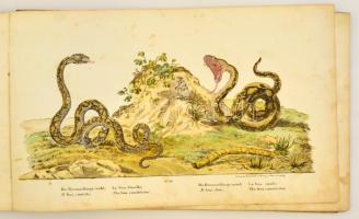 cca 1820 Trentsensky Matthias (1790-1868) - Trentsensky Joseph (1794-1839): Állatok bemutatása négy ...