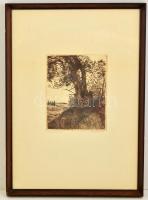 Scultéty Éva (1917-2001): Vörösfenyő. Rézkarc, papír, jelzett, üvegezett fa keretben, 24×19 cm