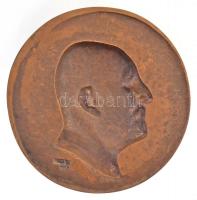 Berán Lajos (1882-1943) 1931. "Dr. Baumgartner Alajos"  Br plakett (100mm) T:2 
HP. 1324