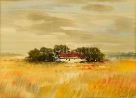 Nemes Tibor (1955-): Tanya. Akvarell, papír, jelzett, üvegezett keretben, 34×49 cm