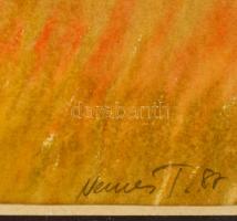 Nemes Tibor (1955-): Tanya. Akvarell, papír, jelzett, üvegezett keretben, 34×49 cm