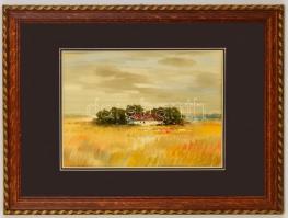 Nemes Tibor (1955-): Tanya. Akvarell, papír, jelzett, üvegezett keretben, 34×49 cm