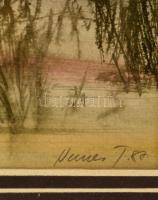 Nemes Tibor (1955-): Csónak a nádasban. Akvarell, papír, jelzett, üvegezett keretben, 34×49 cm