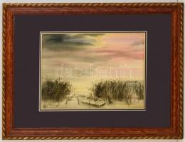 Nemes Tibor (1955-): Csónak a nádasban. Akvarell, papír, jelzett, üvegezett keretben, 34×49 cm