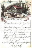 1897 (Vorläufer!) Gruss aus den Bergen. hotel, Art Nouveau, floral, litho. Kunstanstalt Karl Schwidernoch (Rb)