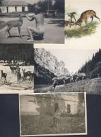 5 képeslap és fénykép