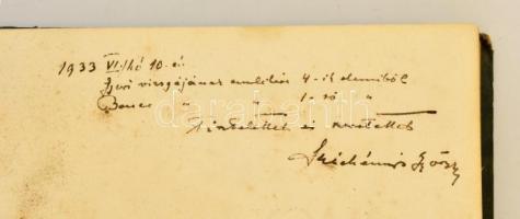 Hóman Bálint, Szekfű Gyula: Magyar történet. VII. kötet. Széchényi György, gróf. (1889-1938) főispán...